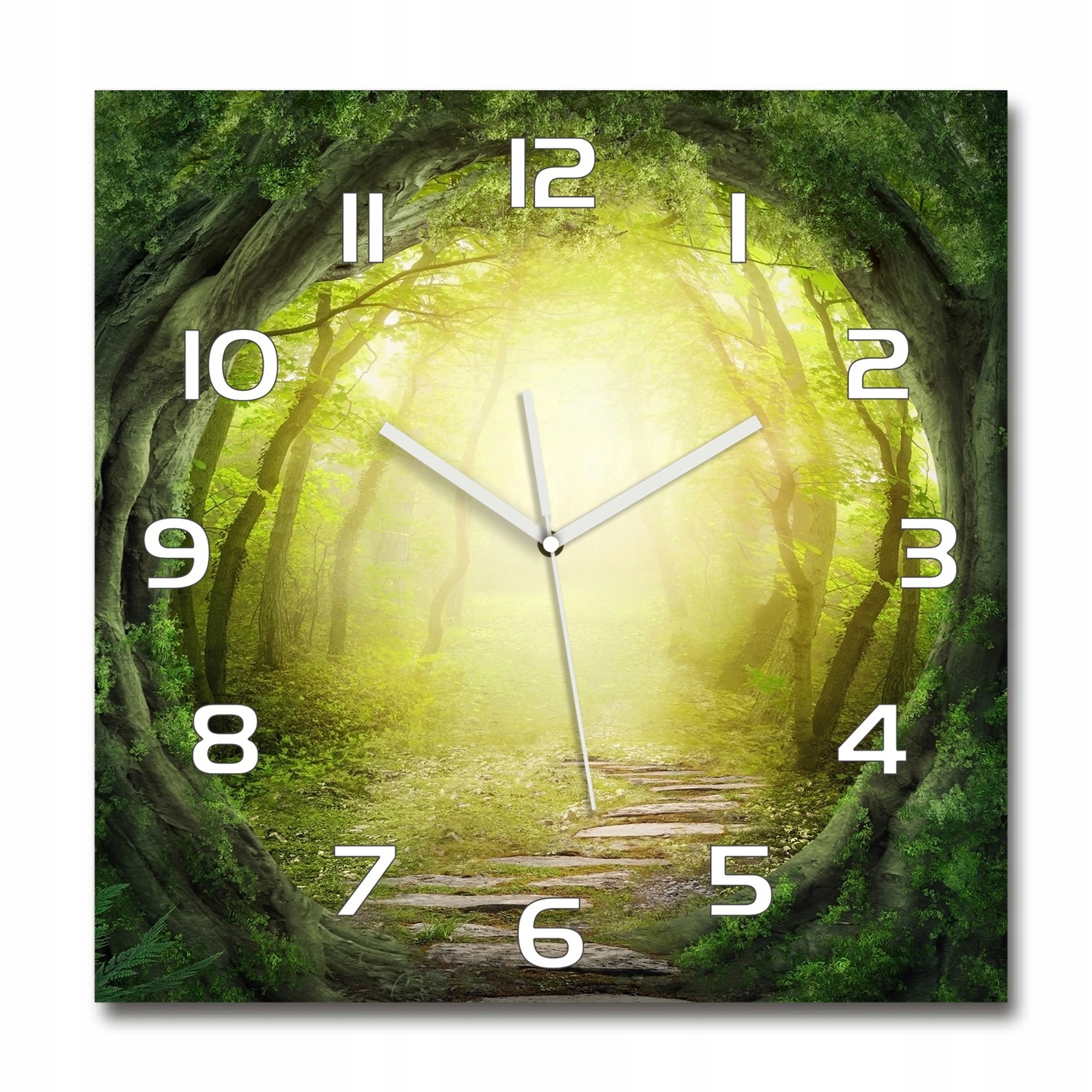 

Duży zegar szklany do salonu Tunel z drzew 60x60cm