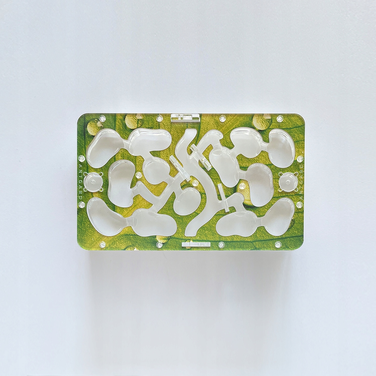 Hnízdo pro mravence Antgard Nest Bio