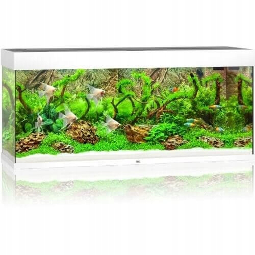 Juwel Rio 240 Led Zestaw Akwarium biały