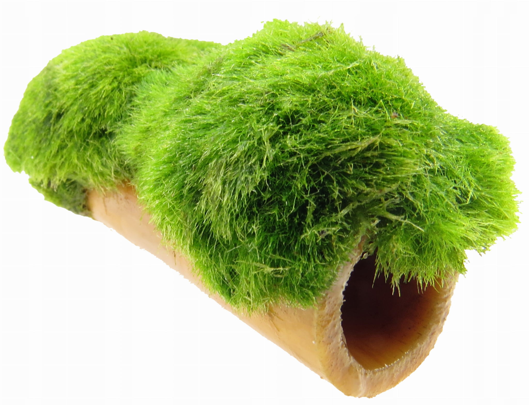 SEAWEED НА ТРУБКЕ БАМБУКА УКРАШЕНИЯ ДЛЯ АКВАРИУМА