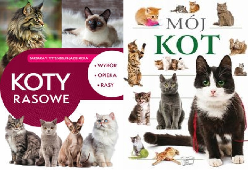Koty rasowe. Wybór, opieka, rasy Mój Kot