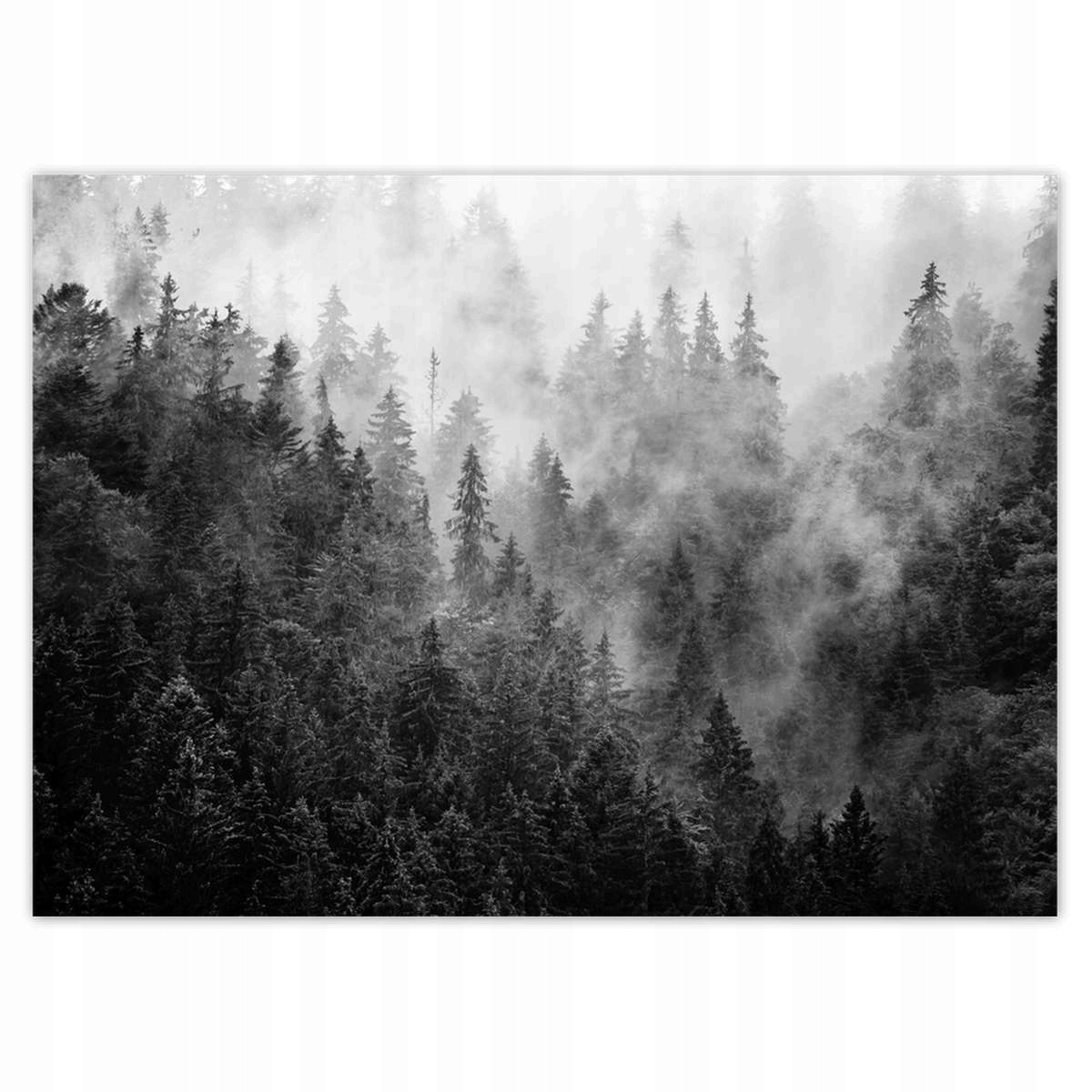 Fototapety 254x184 Krajina Šedá Hory Hmla