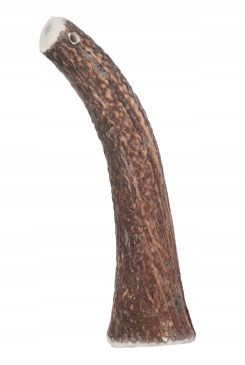 Pochoutka pes Jelení paroží celé Hard nad 20kg Zolux