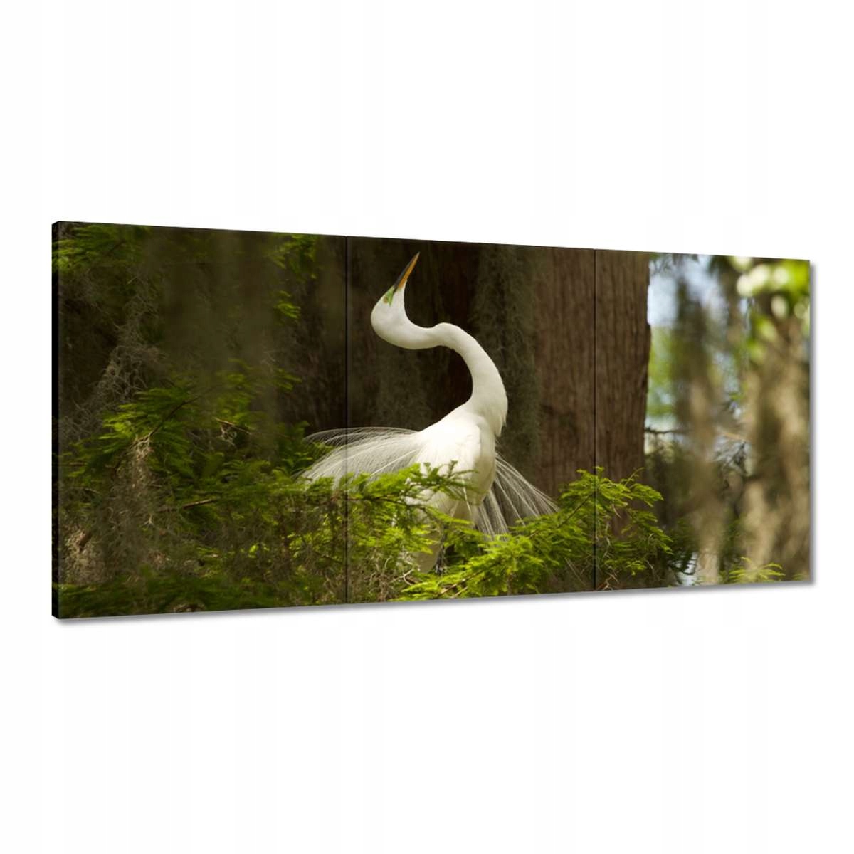 Obrazy 180x90 Čapla vták Krajina Pohľad