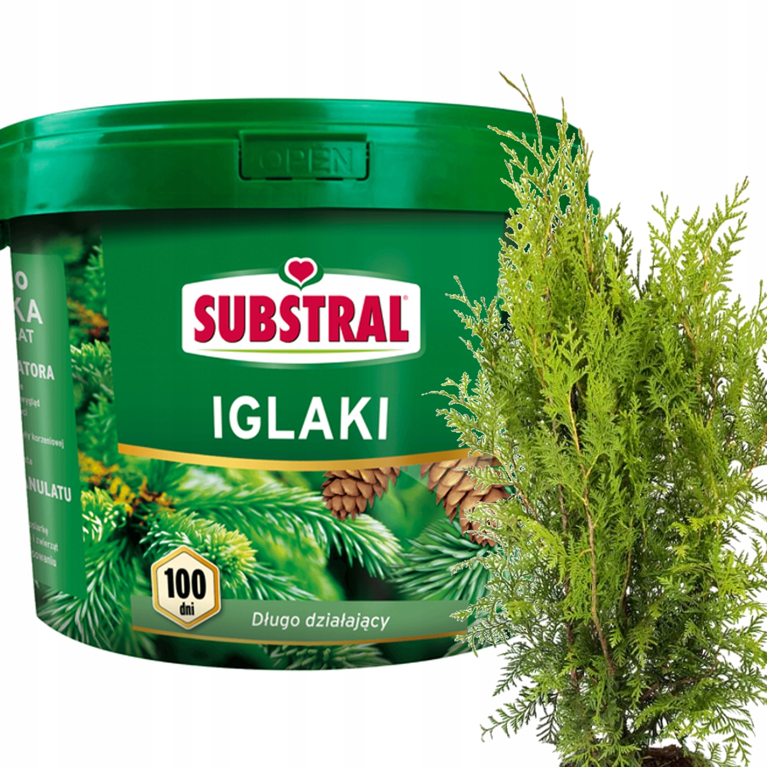 Substral Nawóz Do Tui Iglaków Thui Tuje Długodziałający 100 Dni 10 Kg