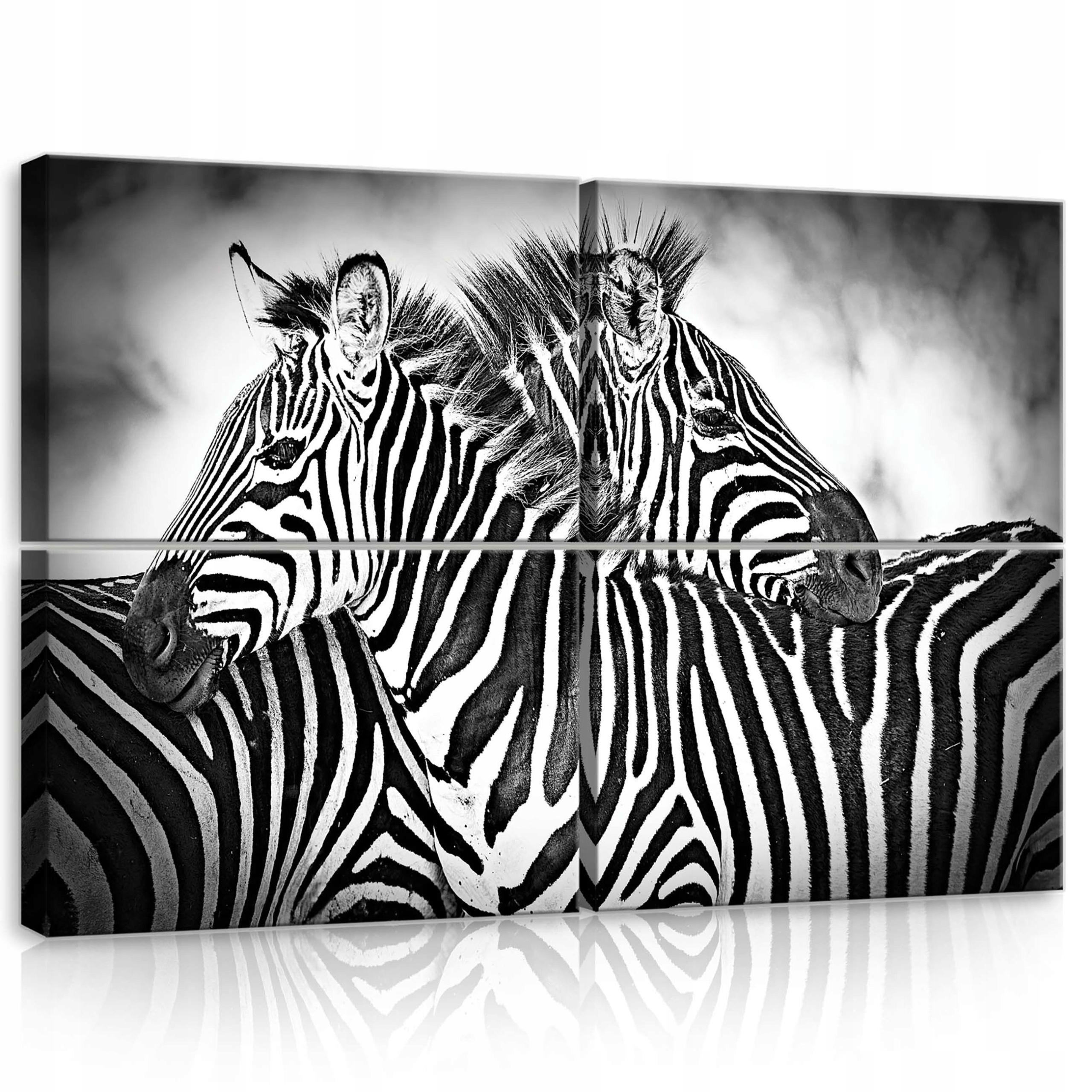 Obraz 120x80 Zebra monochromatický Afrika pruhy zvieratá textúra