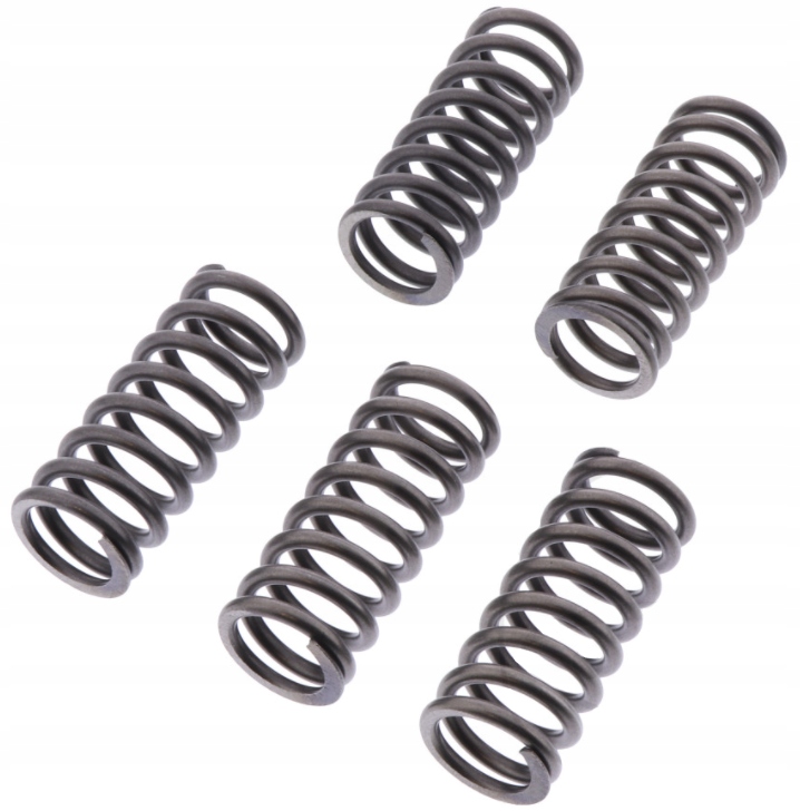 Spojkové pružiny Triumph Tiger 955 a 05-06 Nové