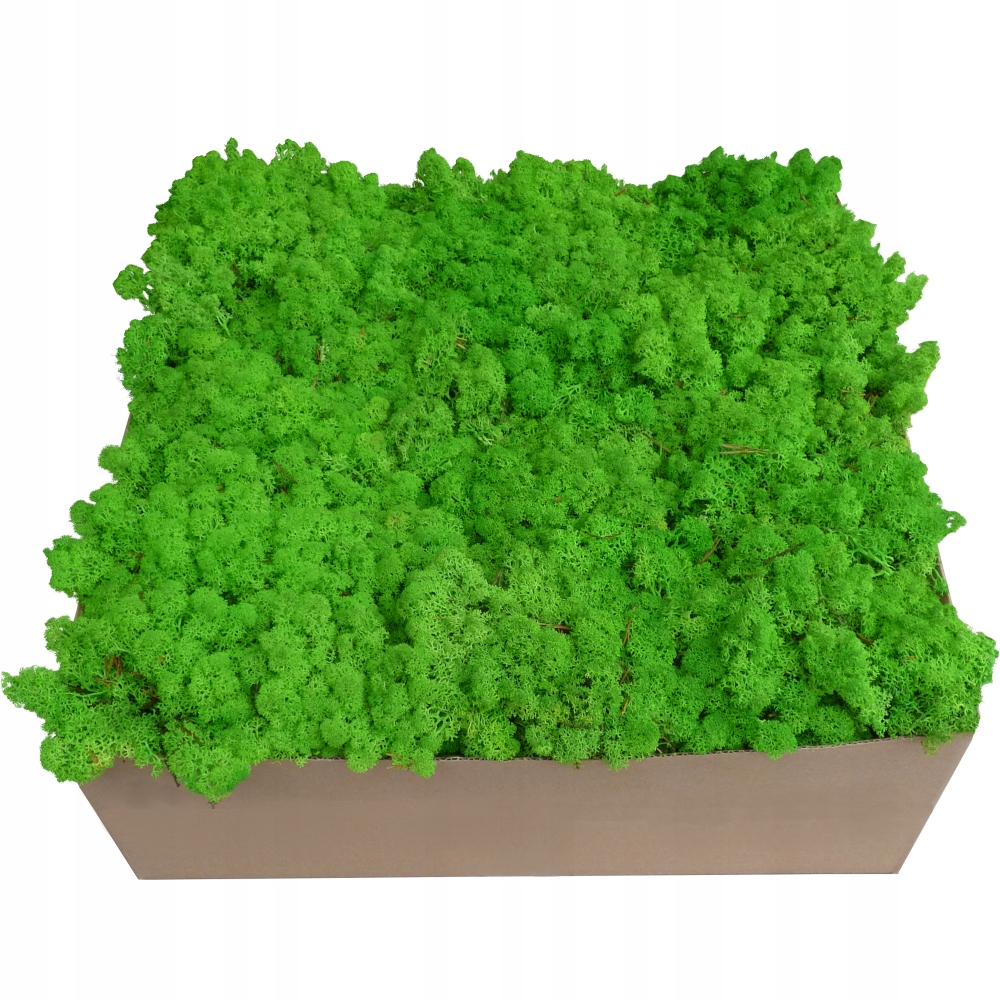 Mech Chrobotek Trawiasty Jasna Zieleń 6kg Rodzaj mech chrobotek