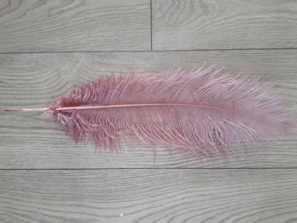 Strusie pióro 45-50 CM brudny róż Rodzaj pióra