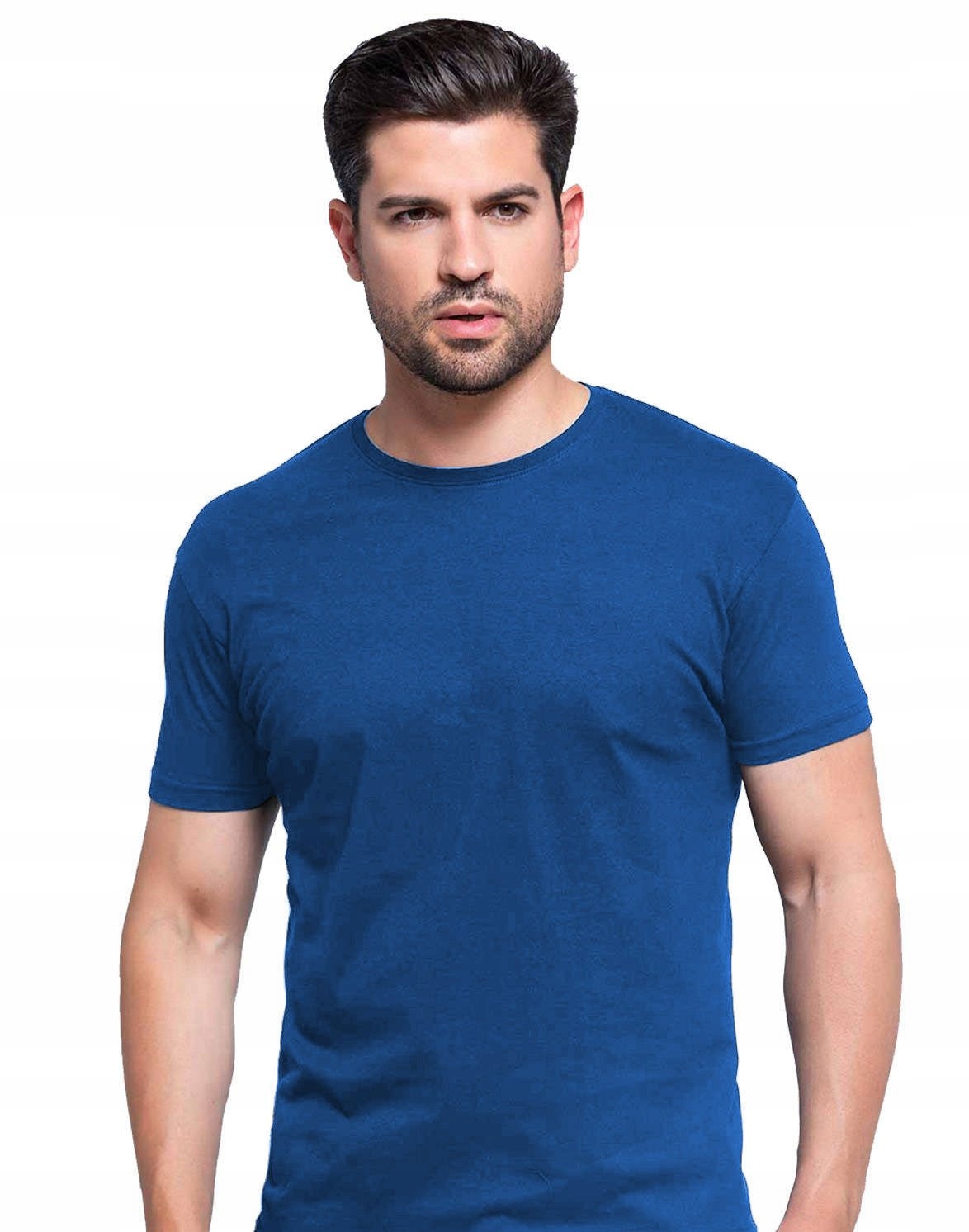 

Męska koszulka T-shirt Fruit Original c.nieb M