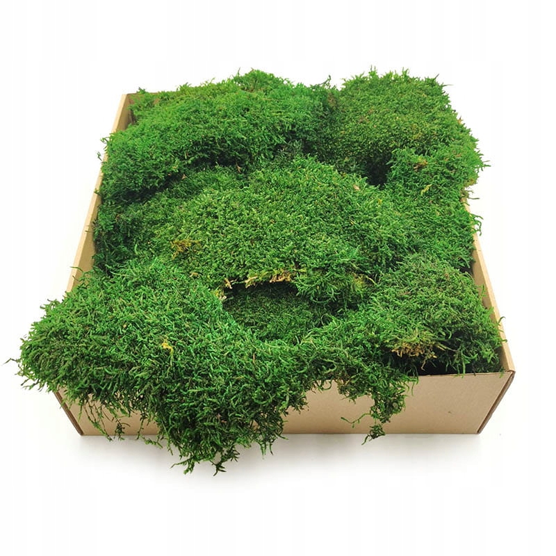 

200g mech Płaski Naturalny Sredniozielony Premium