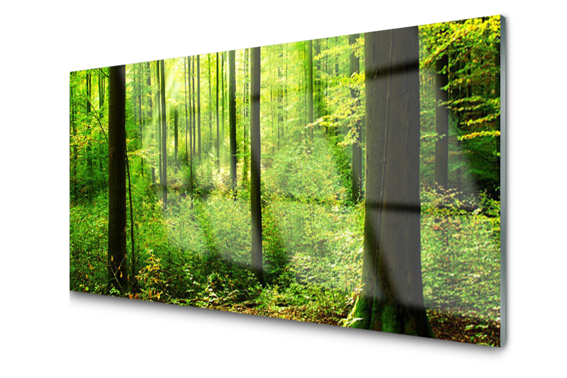 

Panel szklany Płytka Las Zieleń Drzewa 100x50