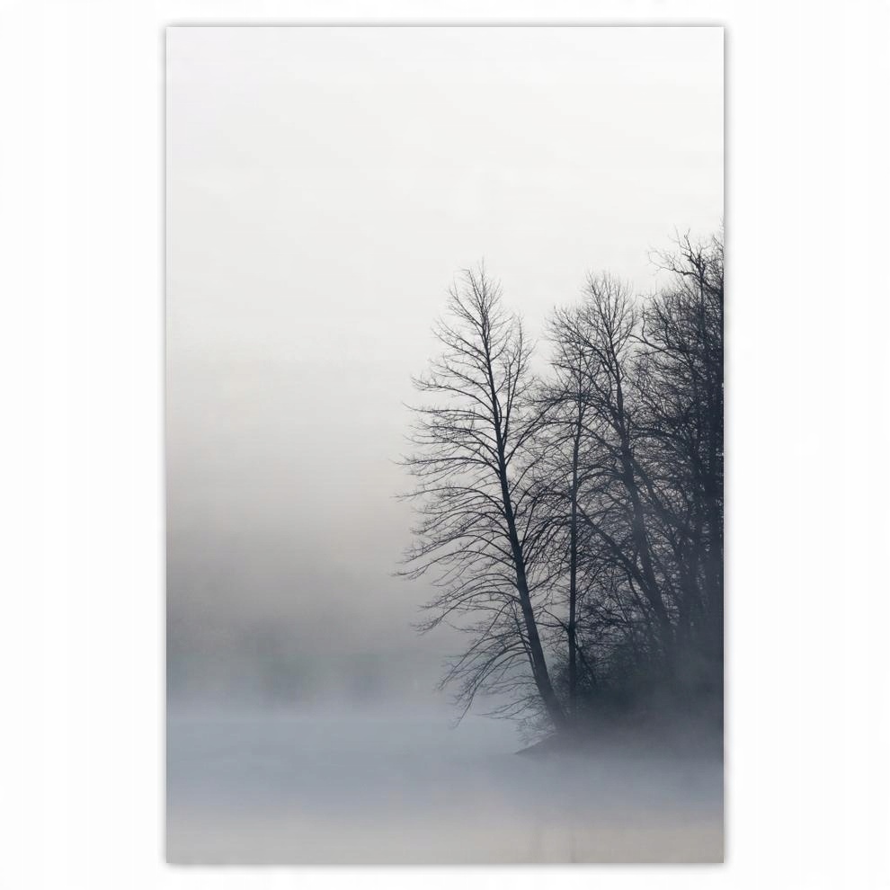 

Plakaty 40x60 Mglisty Las Zima