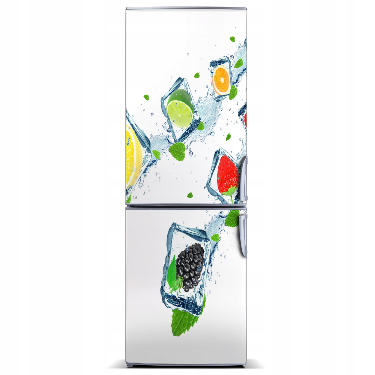 

Magnes na lodówkę magnetyczna Owoce i lód 60x180