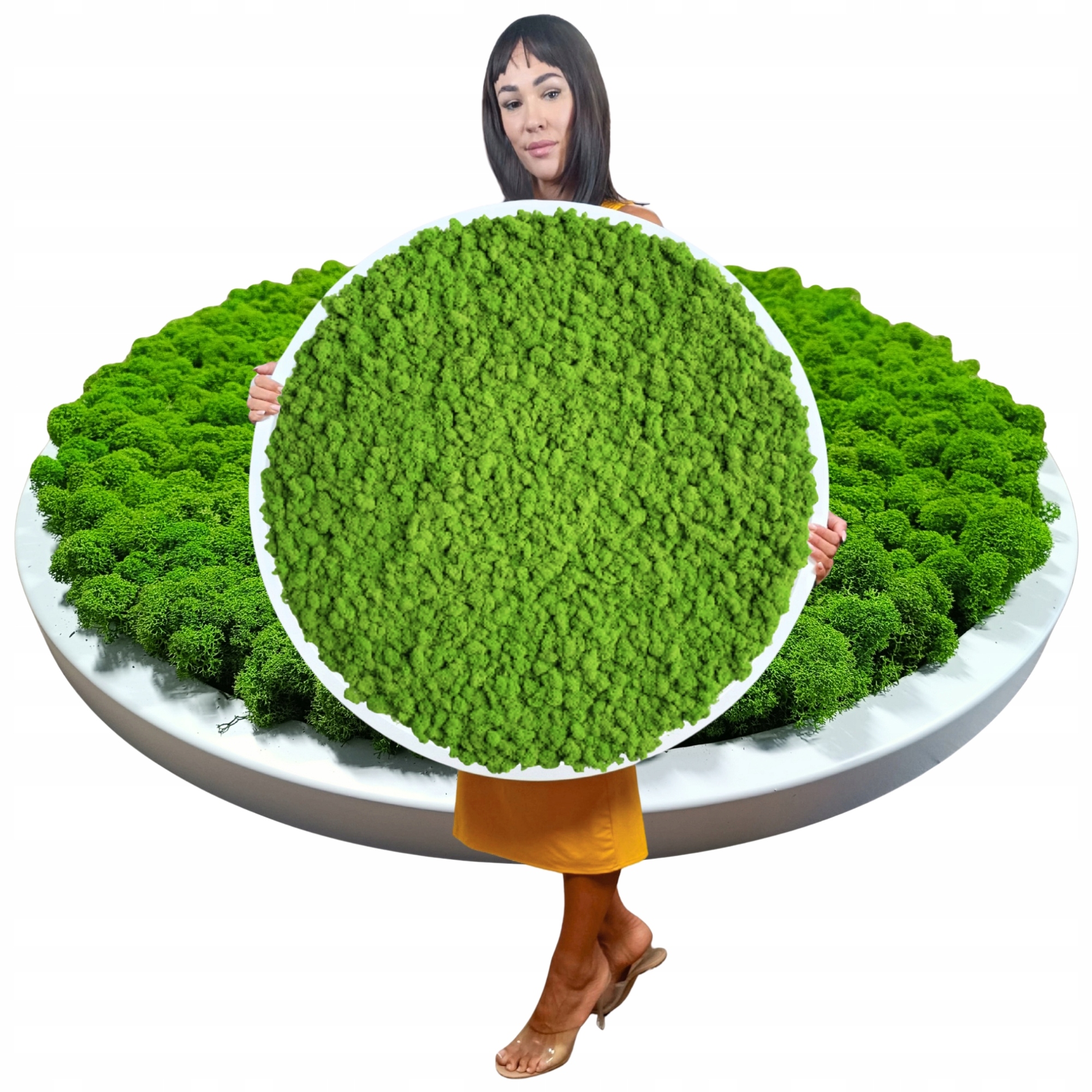 Obraz v dřevěném kulatém bílém rámu s mechem Chrobotkem, průměr 70 cm