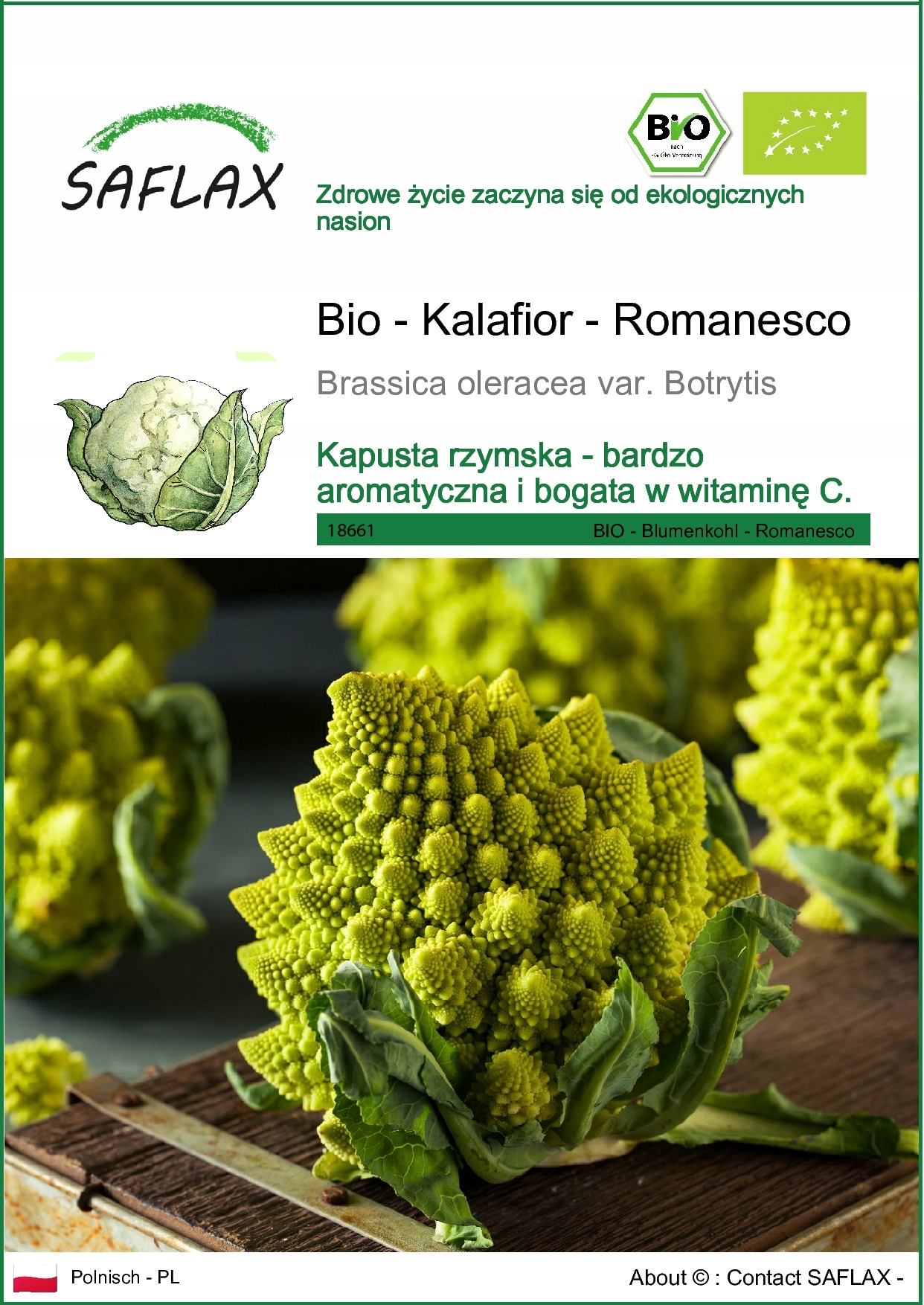 SAFLAX - Kalafior - Romanesco - 50 Nasiona - Brassica