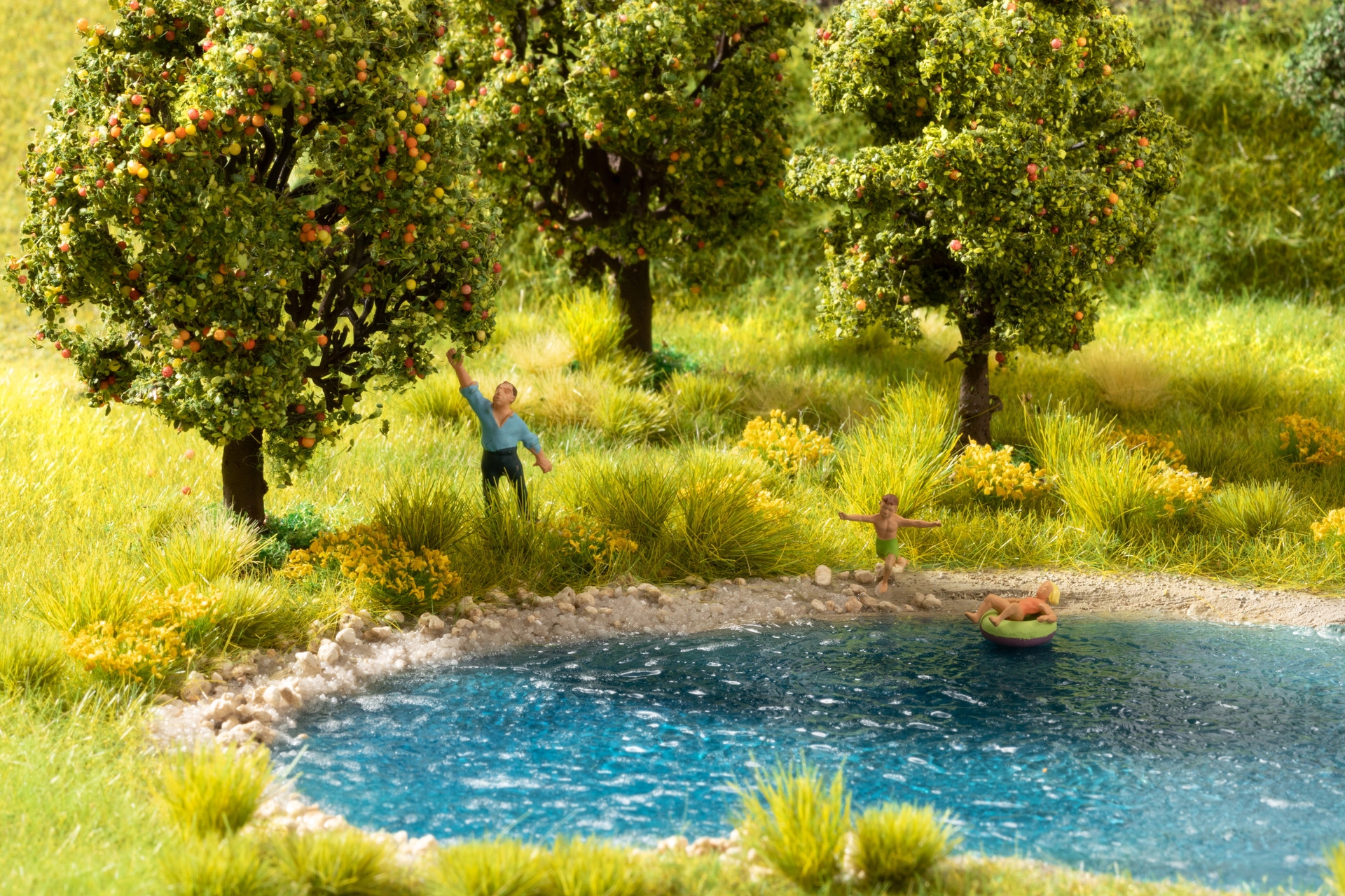 Noch 60774 Startovací sada na břehu