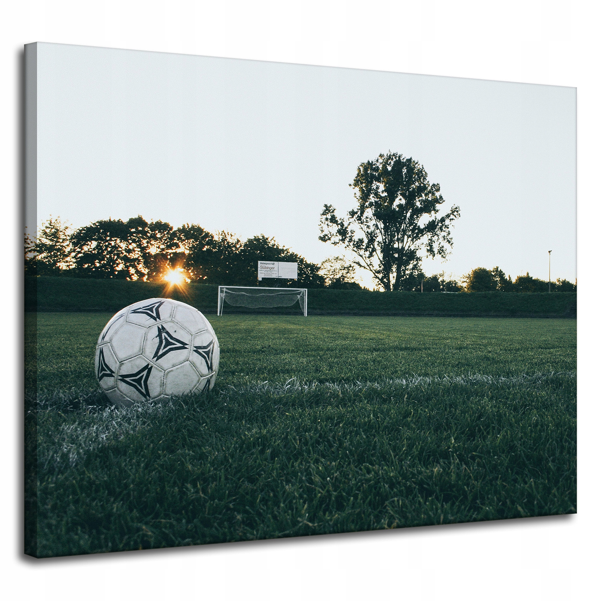 Obraz na plátně Sport Fotbal Hobby 100x80 cm