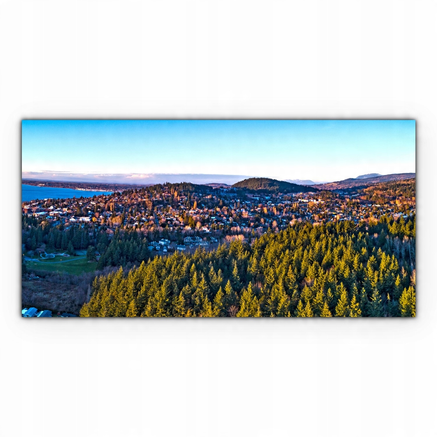 

Canvas na ramie ścienny 120x60 Las Zachód Słońca