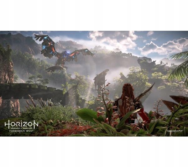 Horizon Forbidden West PS4 / PS5 Tryb gry singleplayer
