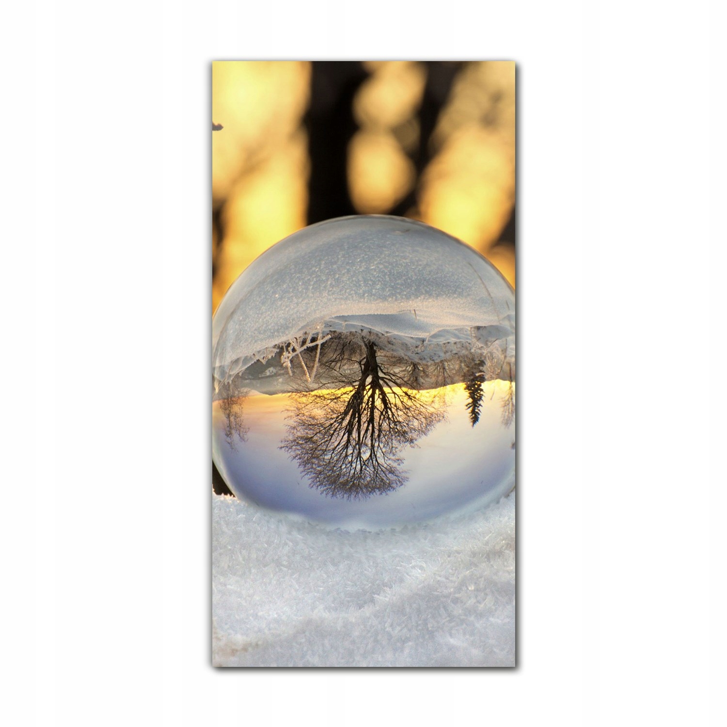

Foto szklane do kuchni 70x140 cm Śnieg las drzewa