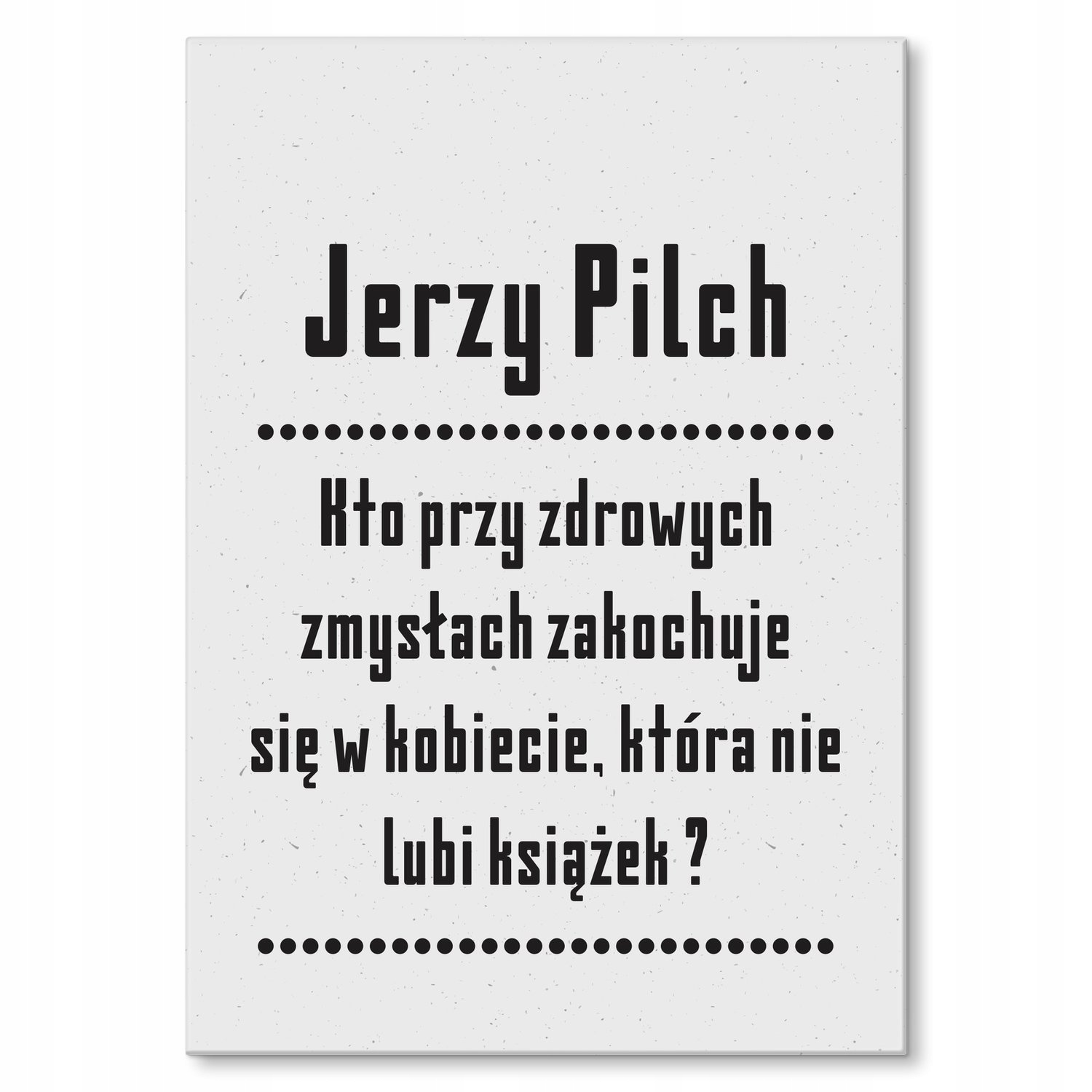 Kovový plakát citát z Pilcha Dárek 42 x 59 cm