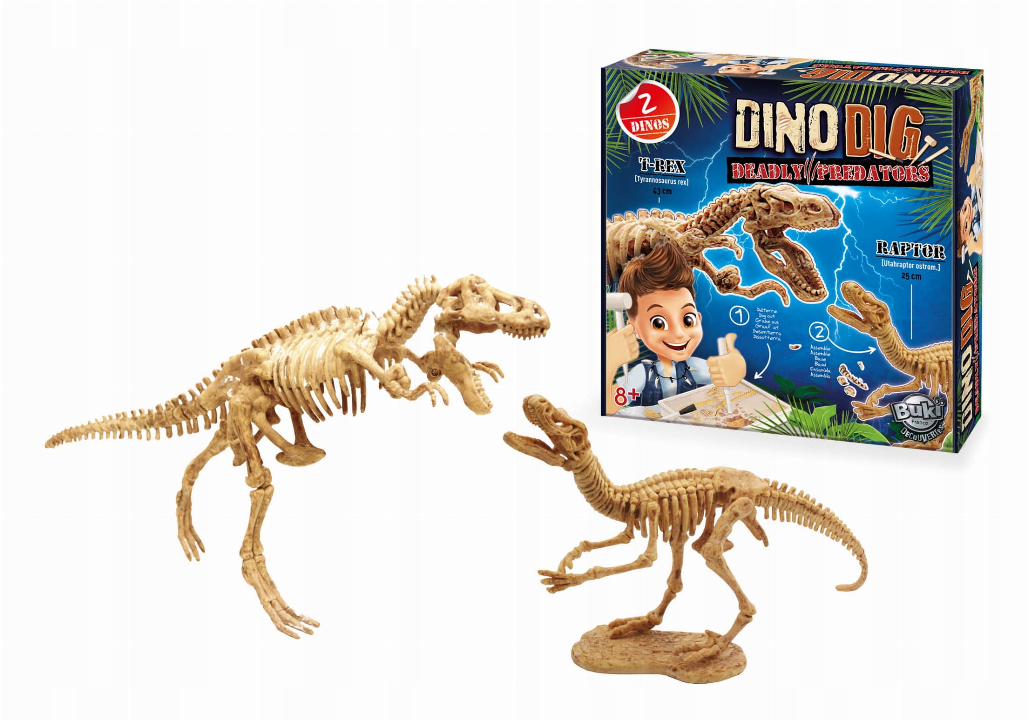 

Buki DinoKit Mały Archeolog 2x Szkielet Dinozaura