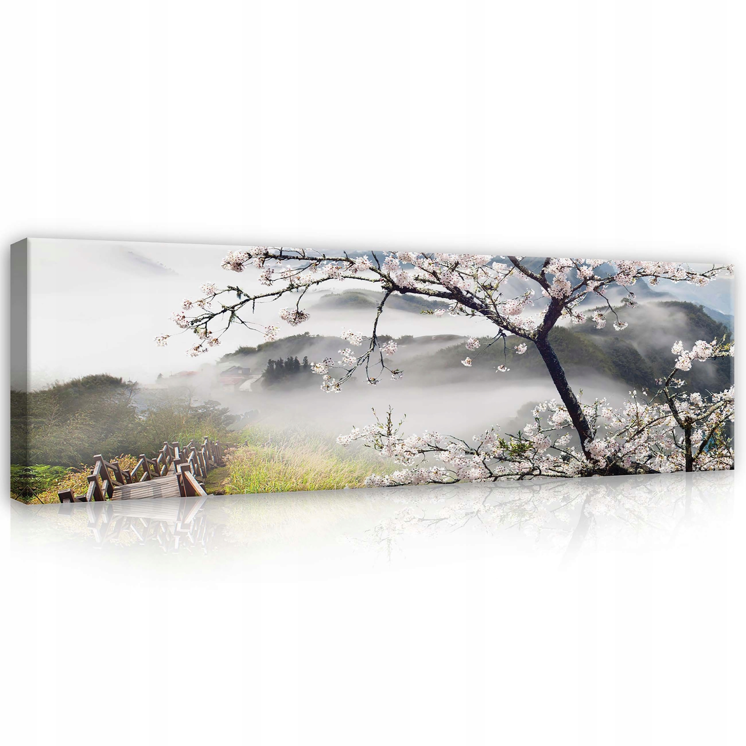 Obraz 145x45 Jaro kvetoucí sakura mlhavé ráno klid příroda