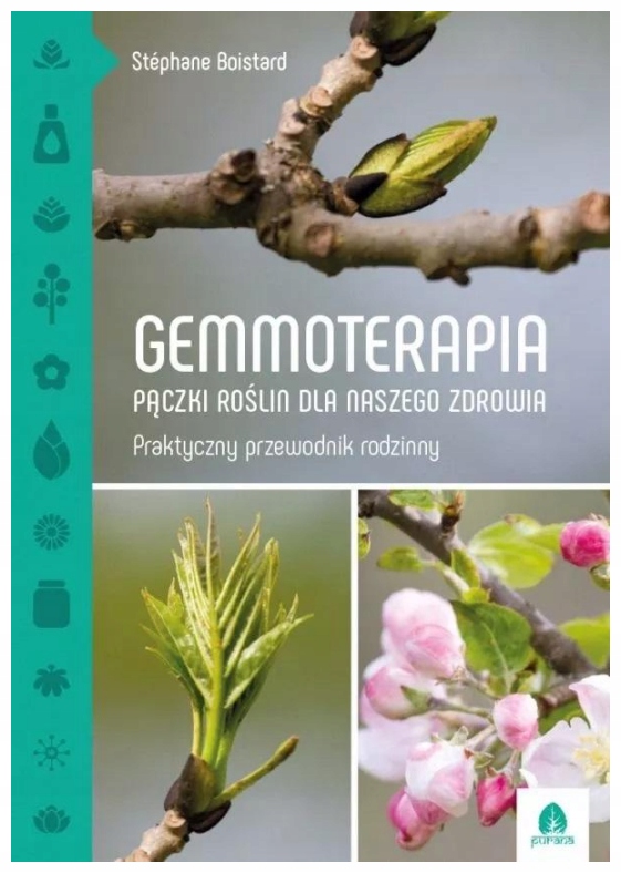 Gemmoterapia. Pączki roślin dla naszego zdrowia
