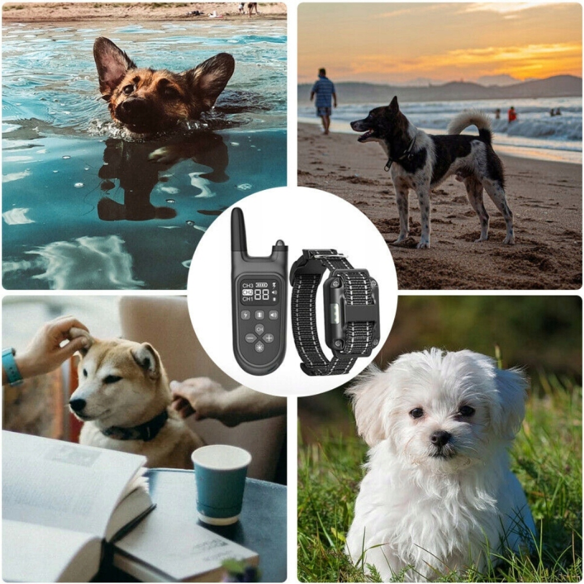 Elektrický Obojek Pro Výcvik Psů S Dálkovým Ovládáním, Vibrace, Zvuk, Svítilna