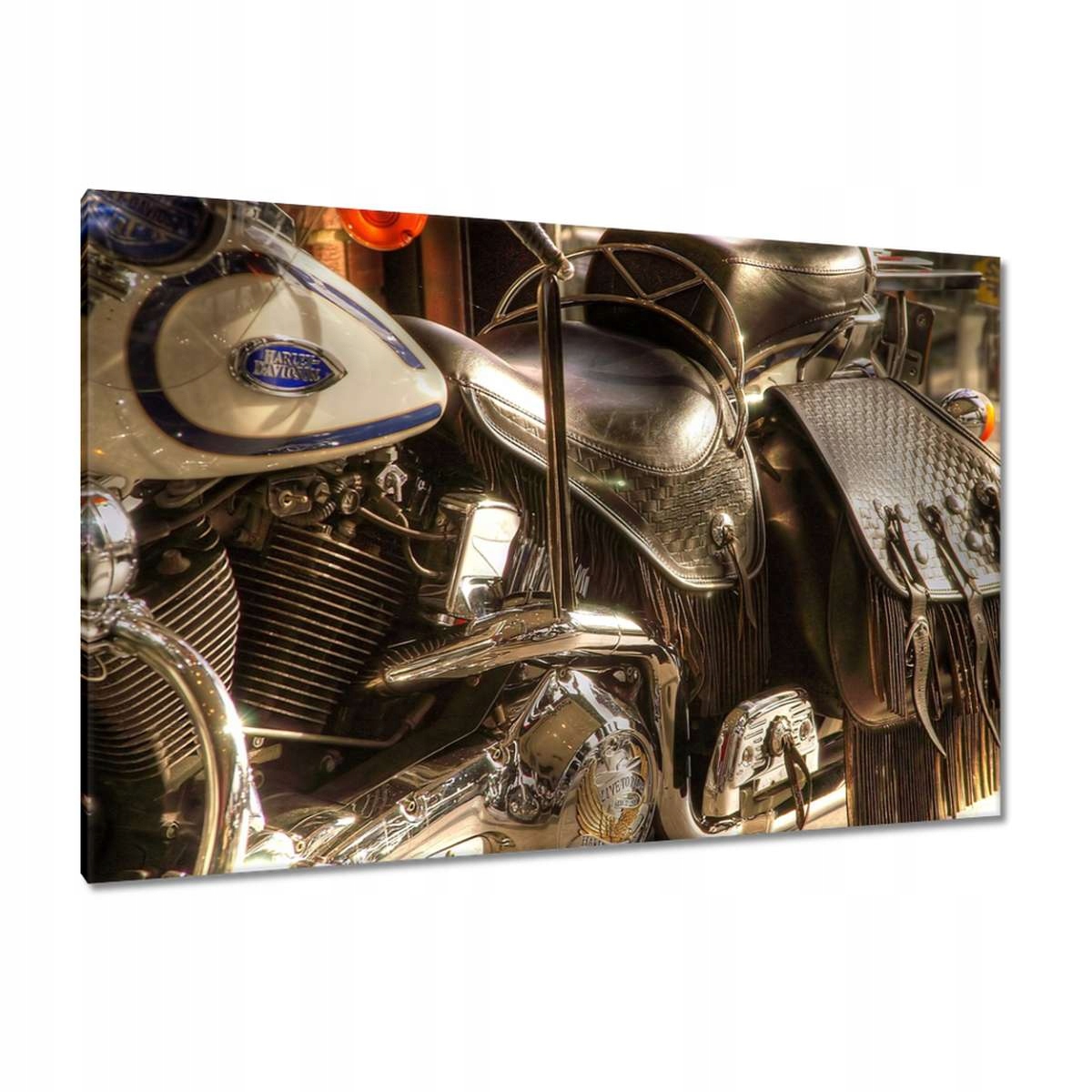 Obrazy 120x80 Harley Davidson Motocykl