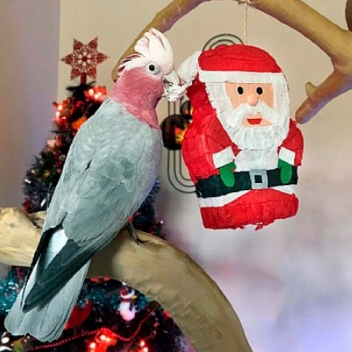 Levně Santa Claus Velký- Hračka dárek vánoční s lahodným obsahem
