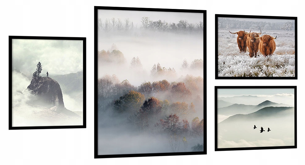 Zestaw Komplet 4szt Obrazy Duże w ramie Góry krajobraz bizony ptaki natura