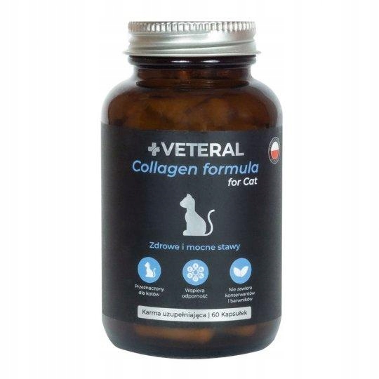 VETERAL Collagen Formula for Cat 60 kaps na stawy 13839744397 Allegro.pl
