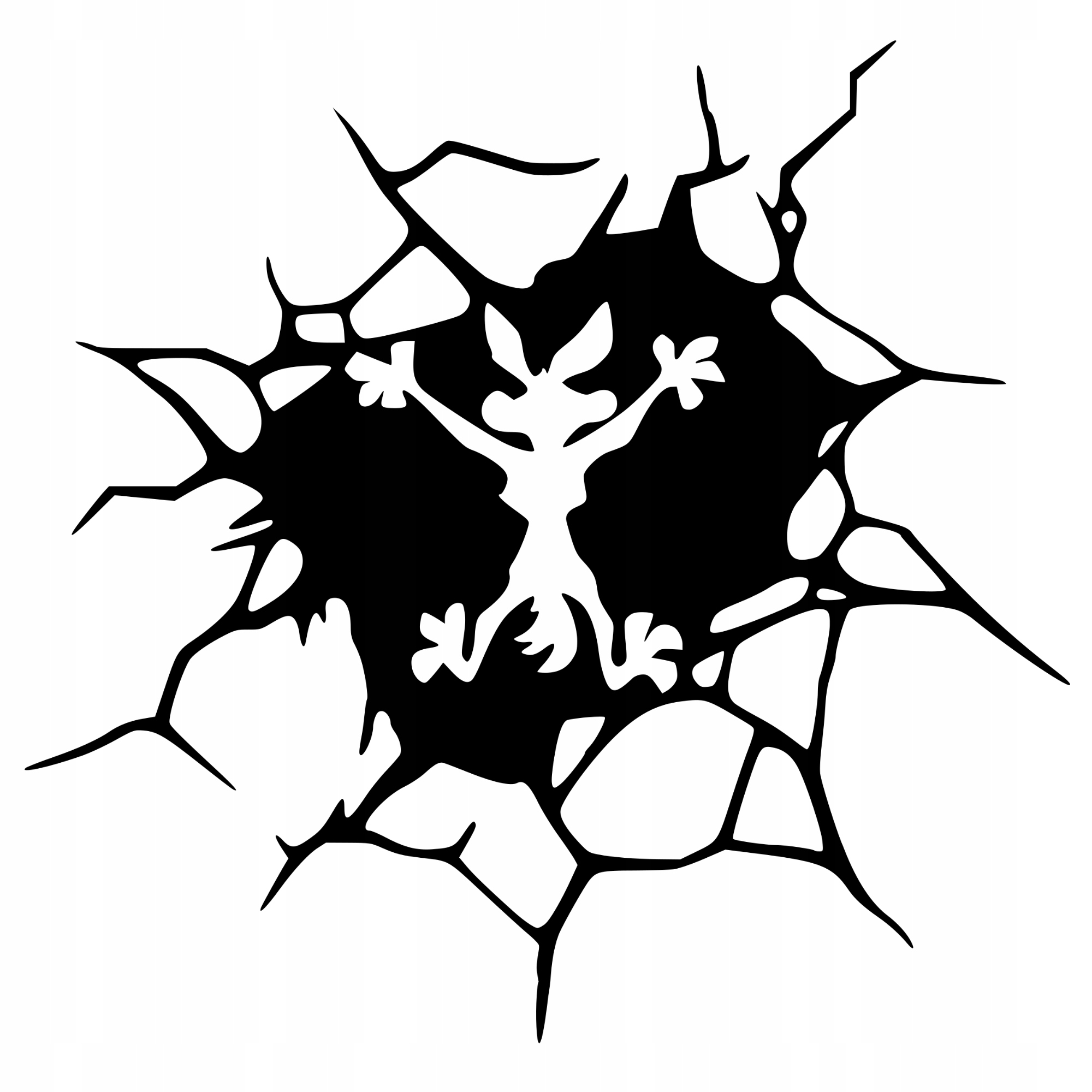 

Naklejka Kojot Na Szybę samochód Rysy Śmieszna