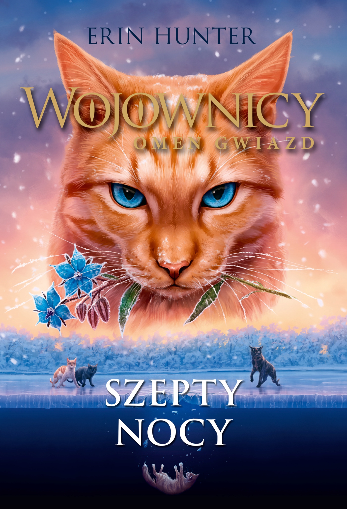 Szepty nocy - e-book