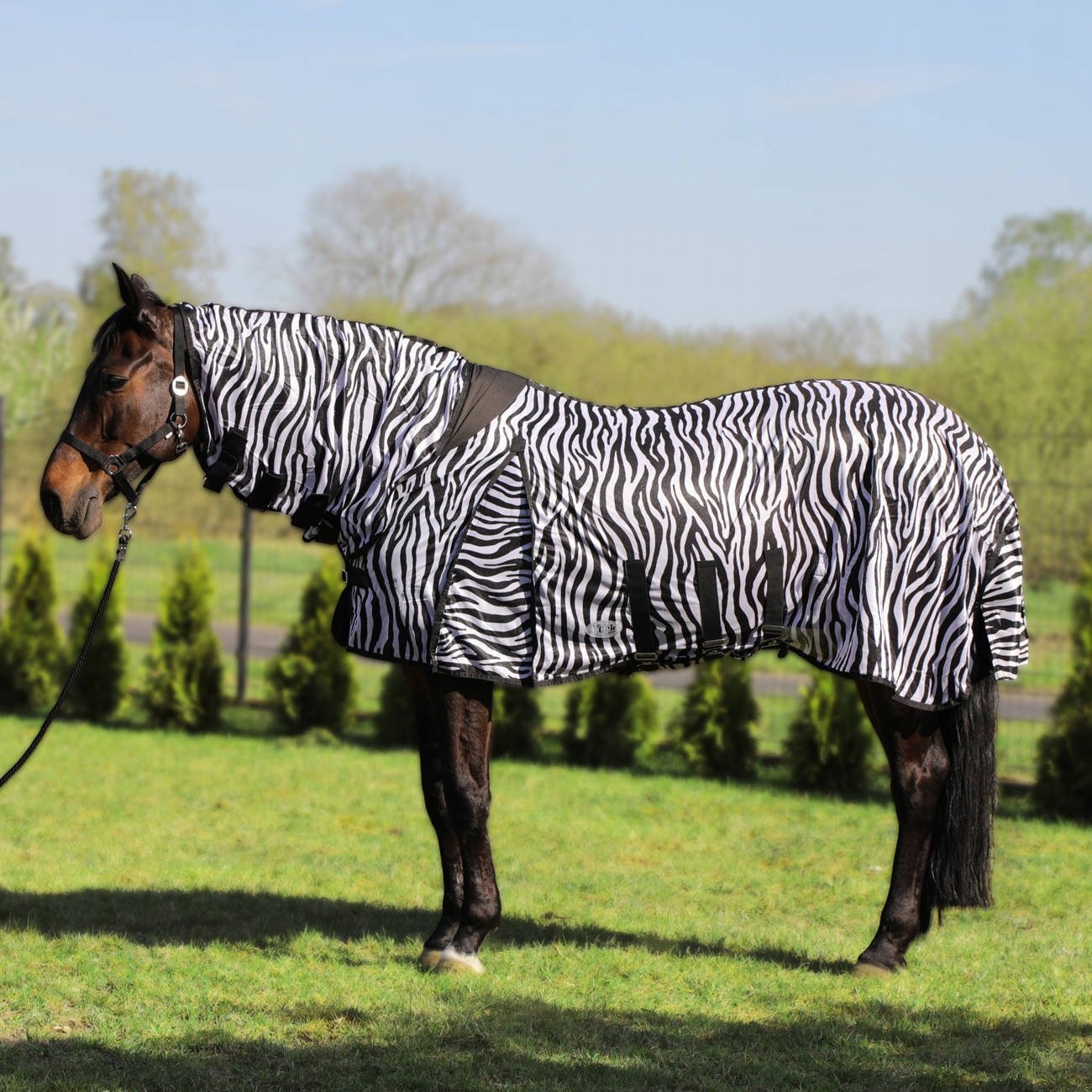 Deka pro koně, York síťovaná s kapucí, vzor Zebra, velikost 105 cm
