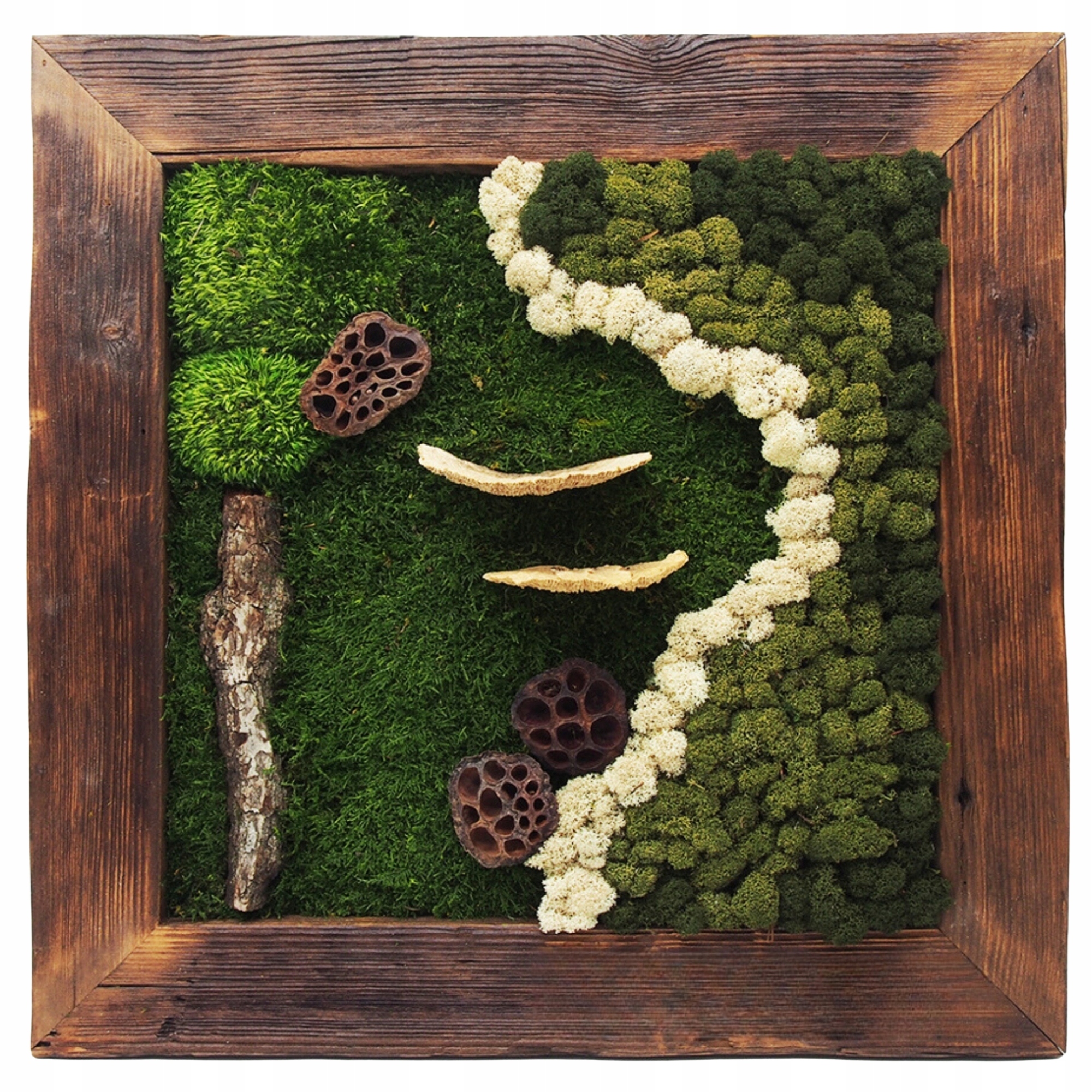 Obraz Z Mchu v drevenom ráme 54x54 cm severský lišajník Živý Obraz handmade