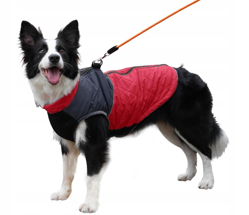 Levně Zimní bunda pro psa JoyDaog – černá, velikost XXL