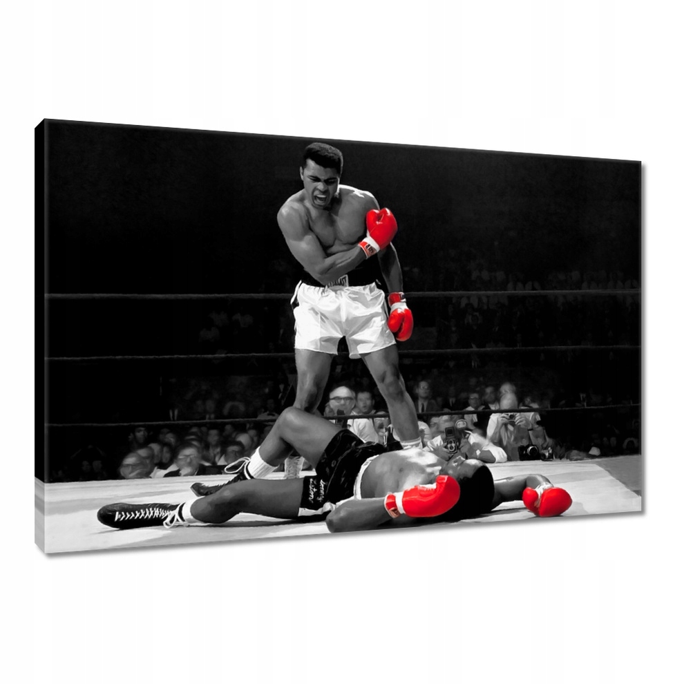 

Obrazy 90x60 Muhhamad Ali Boxer Bokser