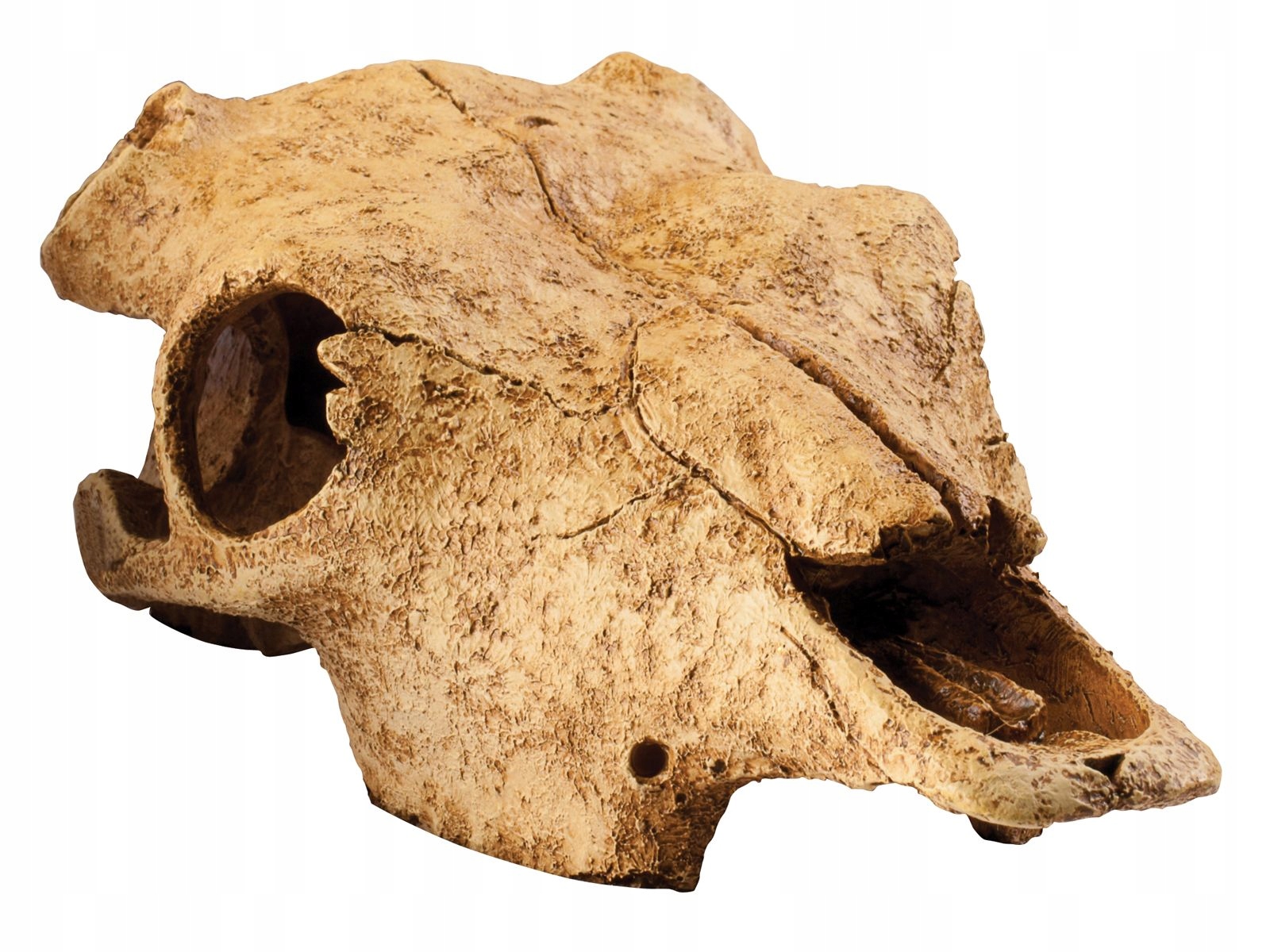 Levně Lebka buvola úkryt do terária Buffalo Skull Exo Terra EX-8572