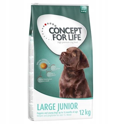 Levně Krmivo krmivo pro psy Concept for Life Large Junior 12 kg