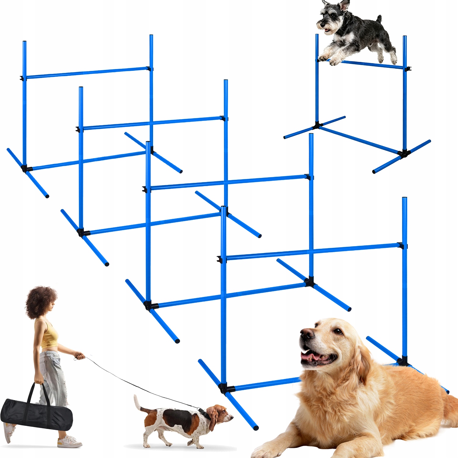 Sada Pro Trénink Agility Pro Psy (4 Prvky) Nastavitelná, Modrá