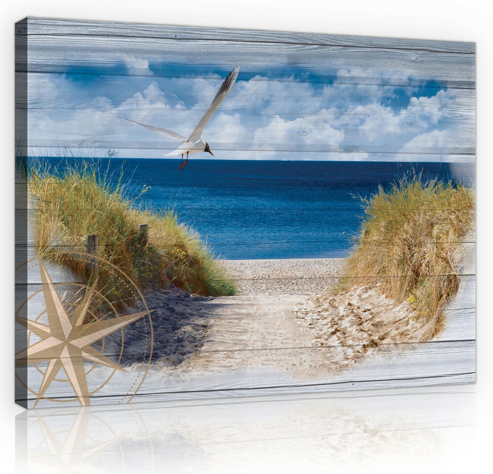 Obraz Na Plátně Canvas 100x75 Moře Pláž Mewa