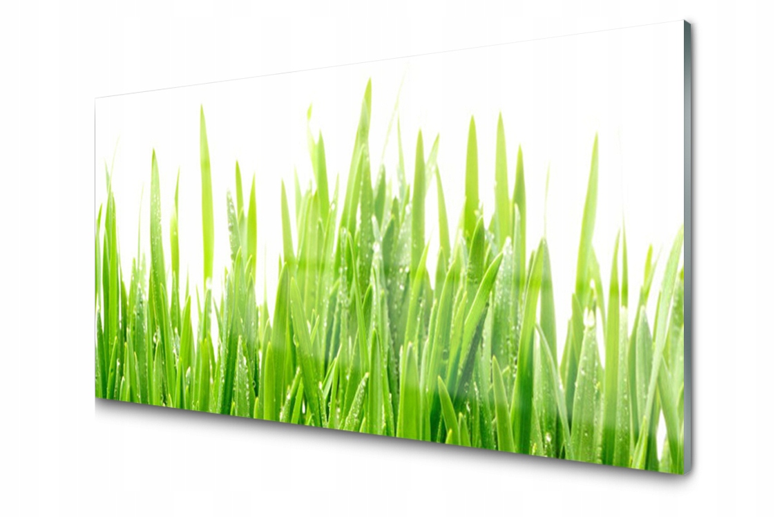 

Panel szklany Płytka Trawa Roślina 140x70 + Klej