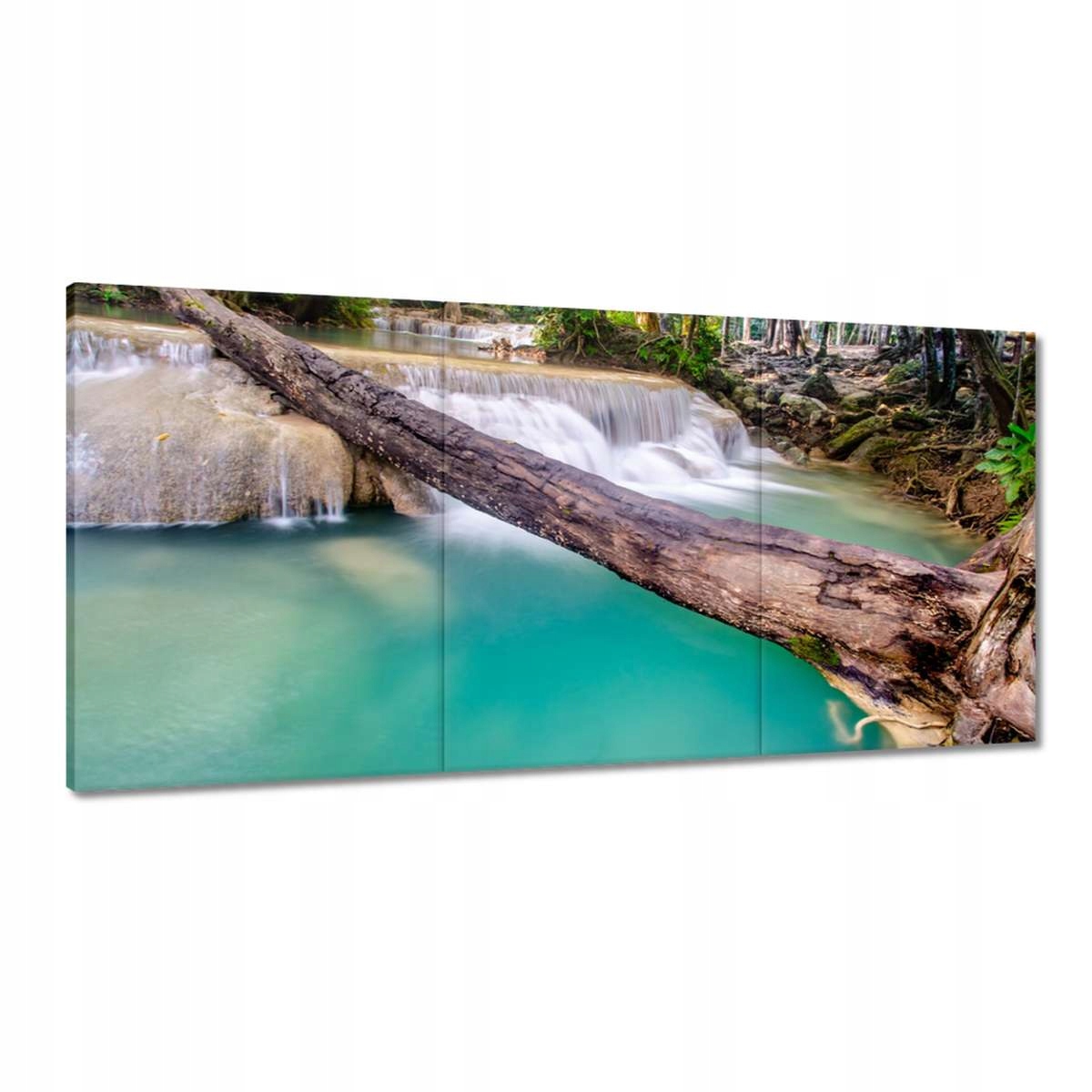 Obrazy 180x90 Popadaný strom