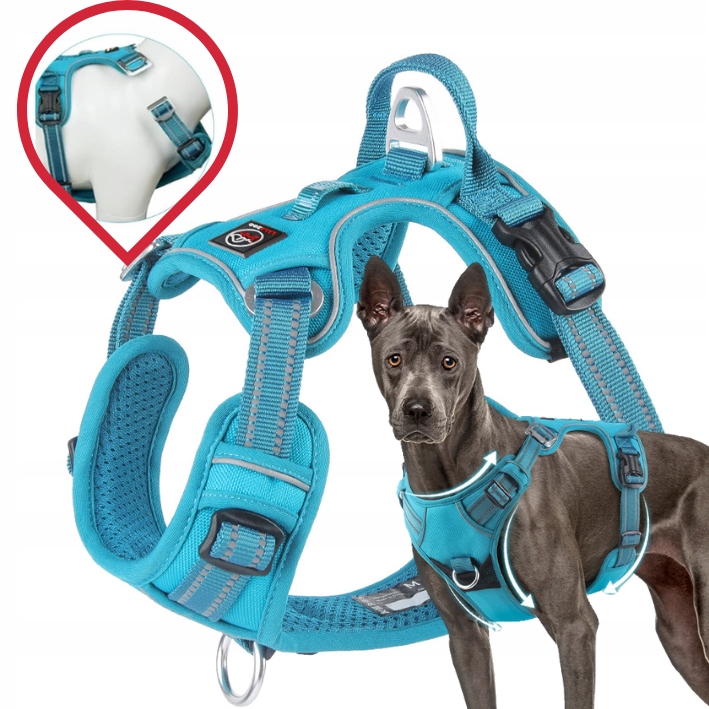 Levně Postroj pro psa Montana typu guard, Silný a odolný, Premium Lalazoo tyrkysový, velikost S