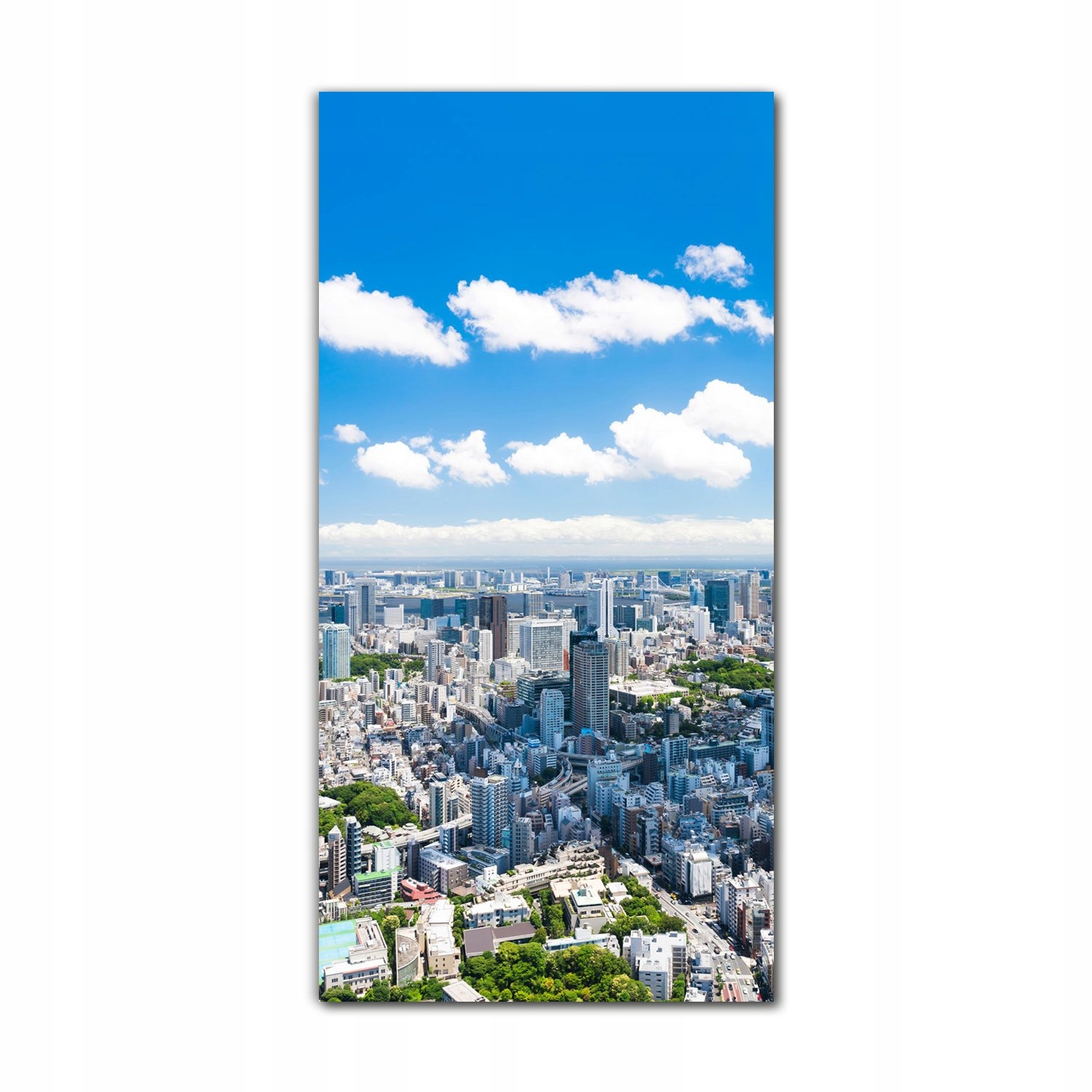 

Foto-obraz na szkle nowoczesny 70x140 Morze Tokio