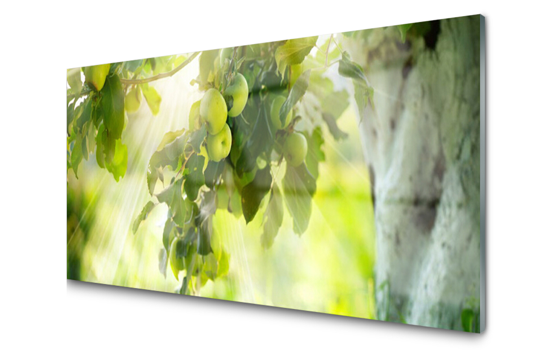 

Panel szklany Płytka Jabłka Gałąź 100x50