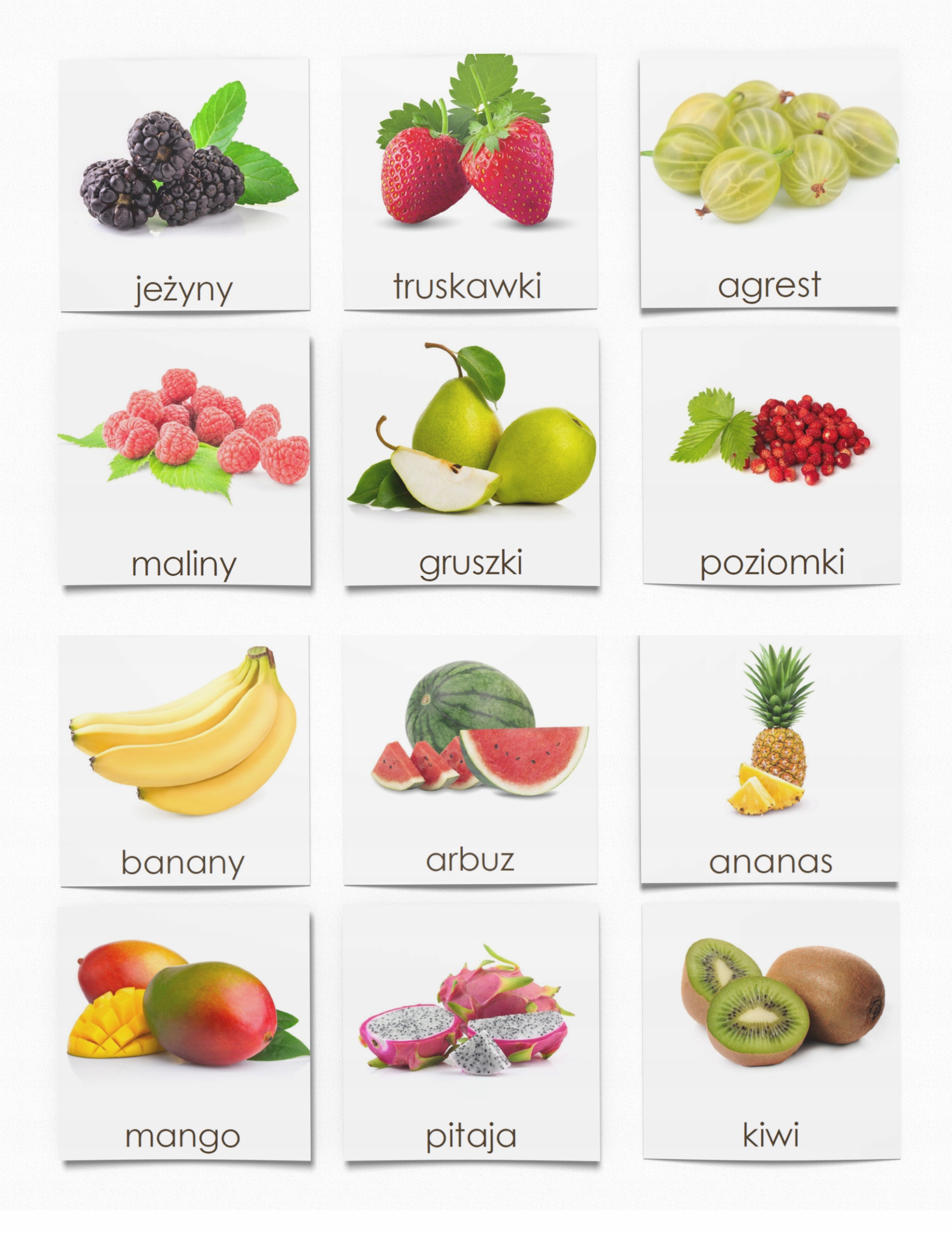KARTY TRÓJDZIELNE owoce GIGA ZESTAW 42 karty Montessori realne zdjęcia